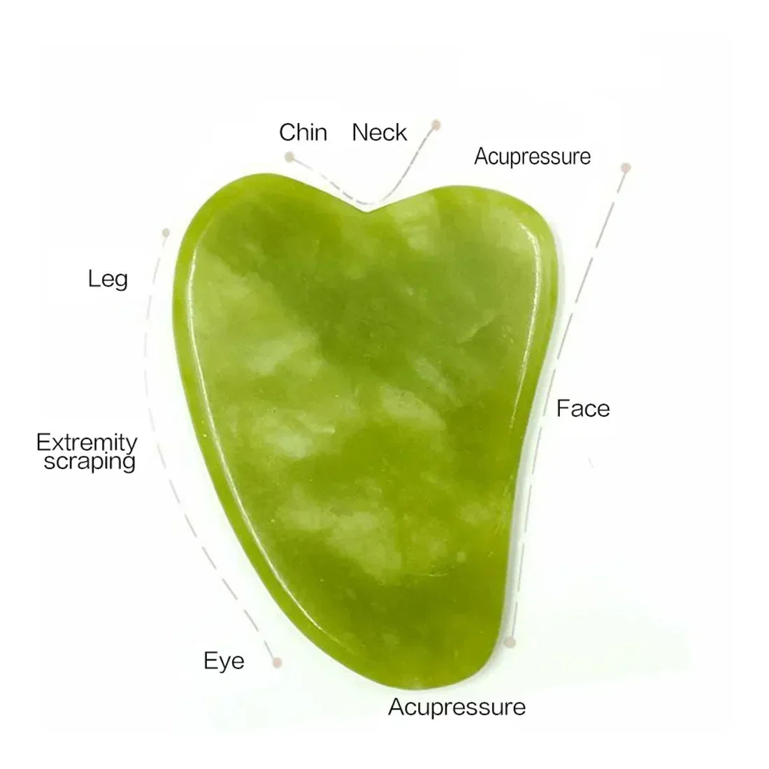 Face Roller & Gua Sha Massage Tools